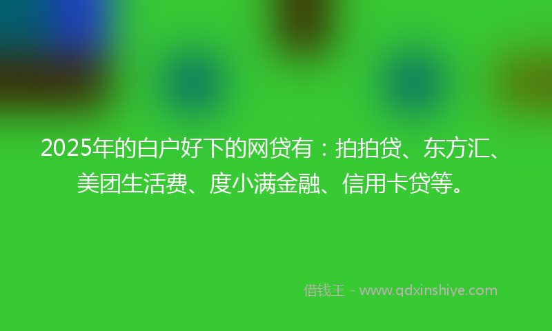 2025年的白户好下的网贷有:拍拍贷、东方汇、美团生活费、度小满金融、信用卡贷等。