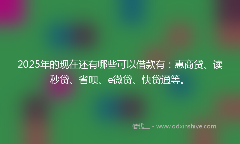 2025年的现在还有哪些可以借款有：惠商贷、读秒贷、省呗、e微贷、快贷通等。
