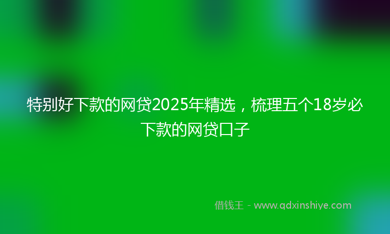 特别好下款的网贷2025年精选，梳理五个18岁必下款的网贷口子