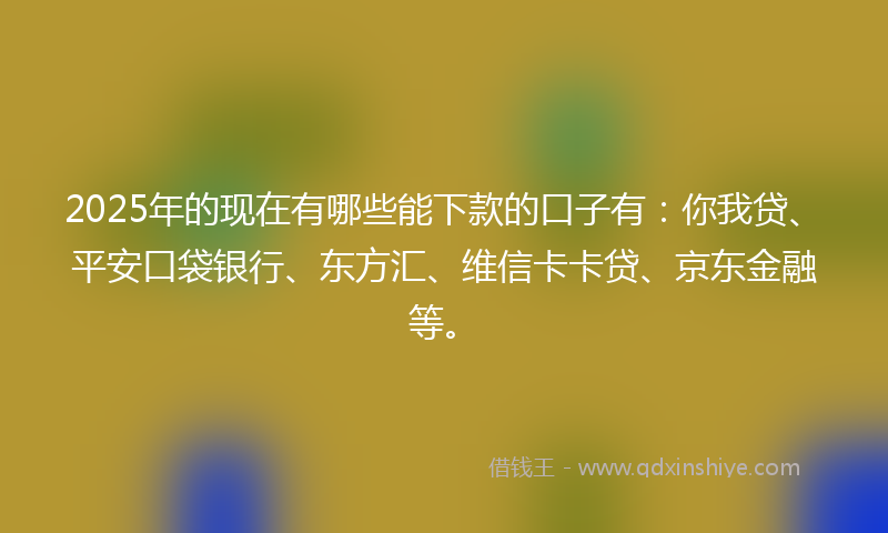 2025年的现在有哪些能下款的口子有:你我贷、平安口袋银行、东方汇、维信卡卡贷、京东金融等。
