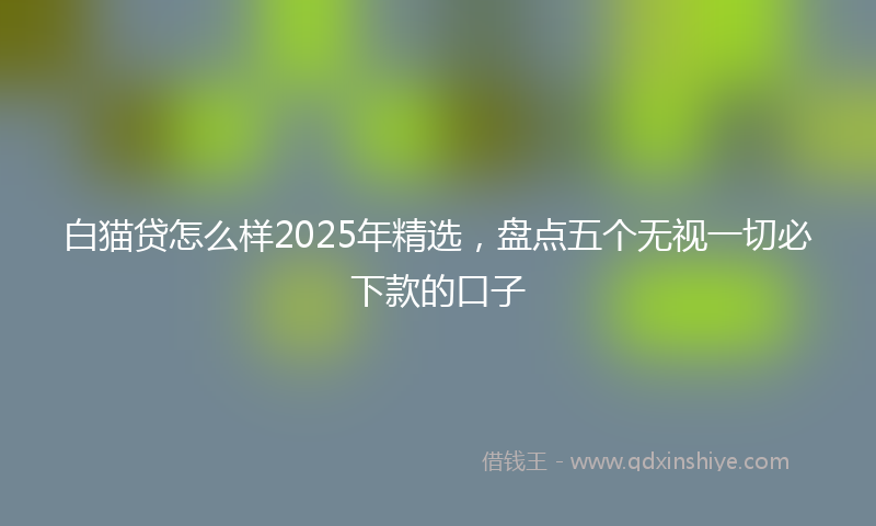 白猫贷怎么样2025年精选，盘点五个无视一切必下款的口子