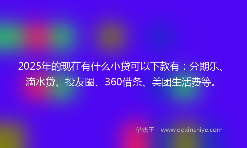 2025年的现在有什么小贷可以下款有：分期乐、滴水贷、投友圈、360借条、美团生活费等。