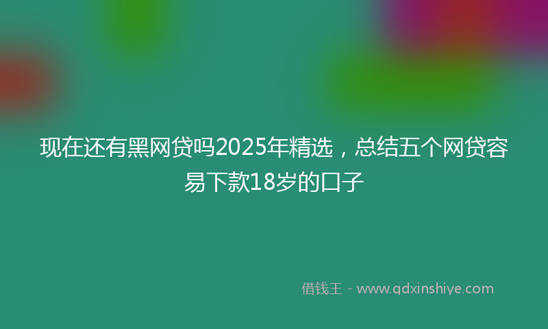 现在还有黑网贷吗2025年精选，总结五个网贷容易下款18岁的口子