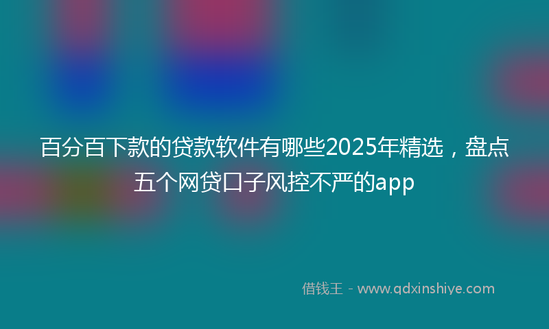 百分百下款的贷款软件有哪些2025年精选，盘点五个网贷口子风控不严的app
