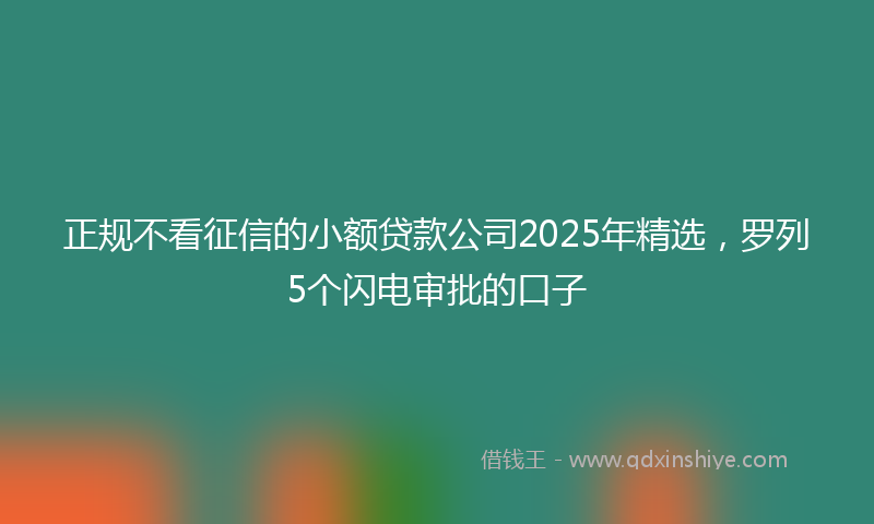 正规不看征信的小额贷款公司2025年精选，罗列5个闪电审批的口子