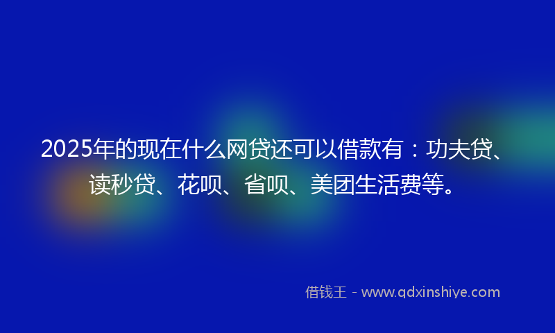 2025年的现在什么网贷还可以借款有：功夫贷、读秒贷、花呗、省呗、美团生活费等。
