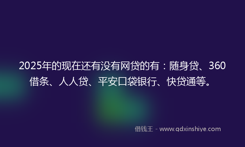 2025年的现在还有没有网贷的有：随身贷、360借条、人人贷、平安口袋银行、快贷通等。