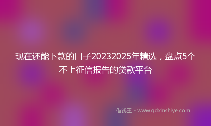 现在还能下款的口子20232025年精选，盘点5个不上征信报告的贷款平台