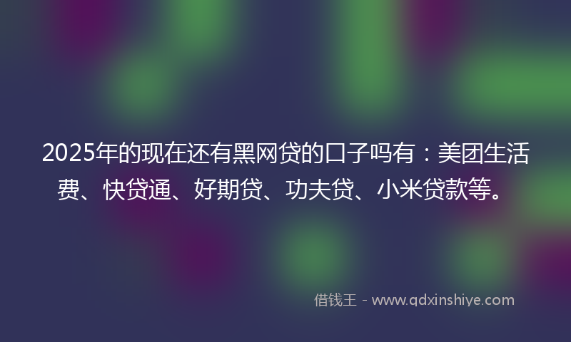 2025年的现在还有黑网贷的口子吗有：美团生活费、快贷通、好期贷、功夫贷、小米贷款等。