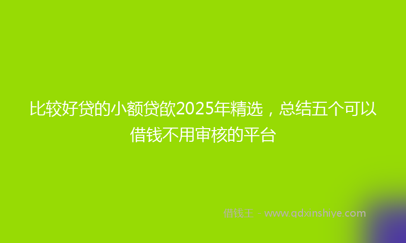 比较好贷的小额贷欿2025年精选，总结五个可以借钱不用审核的平台