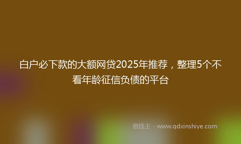 白户必下款的大额网贷2025年推荐，整理5个不看年龄征信负债的平台