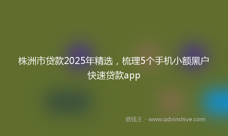 株洲市贷款2025年精选,梳理5个手机小额黑户快速贷款app