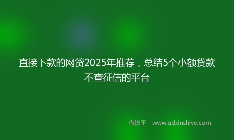 直接下款的网贷2025年推荐，总结5个小额贷款不查征信的平台