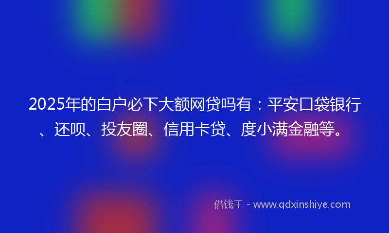 2025年的白户必下大额网贷吗有：平安口袋银行、还呗、投友圈、信用卡贷、度小满金融等。