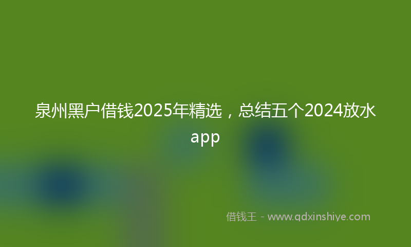 泉州黑户借钱2025年精选，总结五个2024放水app