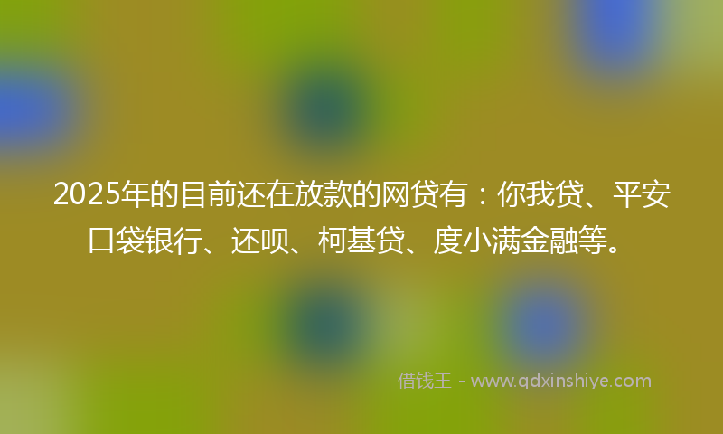 2025年的目前还在放款的网贷有：你我贷、平安口袋银行、还呗、柯基贷、度小满金融等。