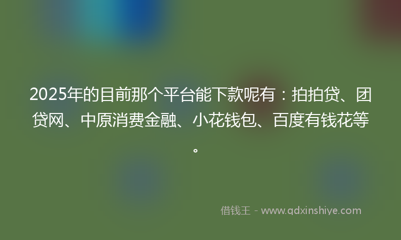2025年的目前那个平台能下款呢有：拍拍贷、团贷网、中原消费金融、小花钱包、百度有钱花等。