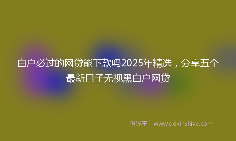 白户必过的网贷能下款吗2025年精选，分享五个最新口子无视黑白户网贷