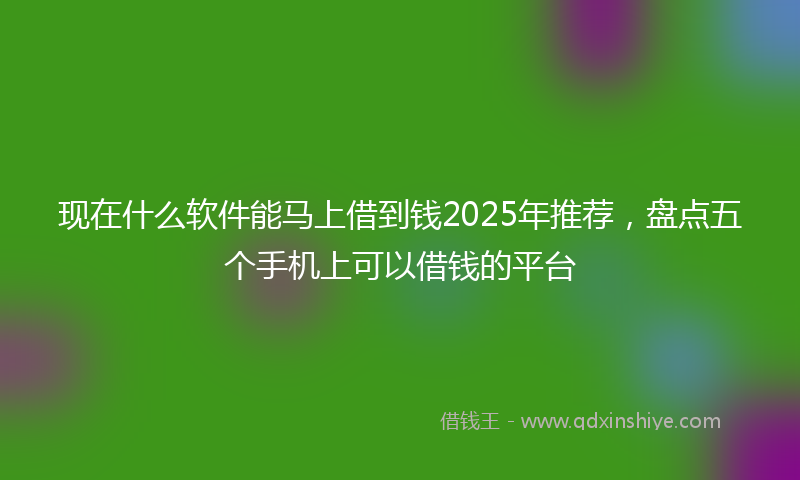 现在什么软件能马上借到钱2025年推荐，盘点五个手机上可以借钱的平台