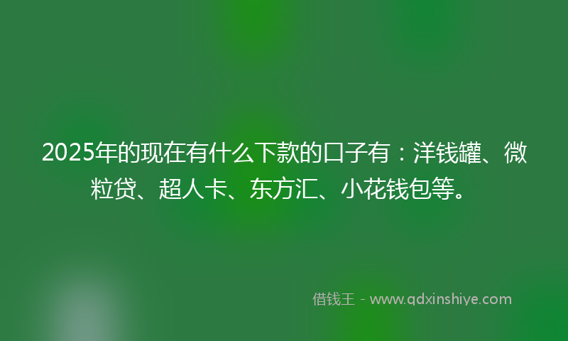 2025年的现在有什么下款的口子有:洋钱罐、微粒贷、超人卡、东方汇、小花钱包等。