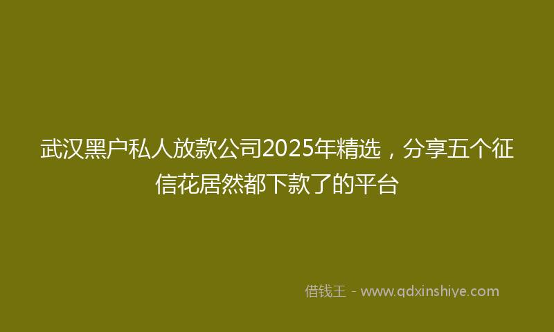 武汉黑户私人放款公司2025年精选，分享五个征信花居然都下款了的平台