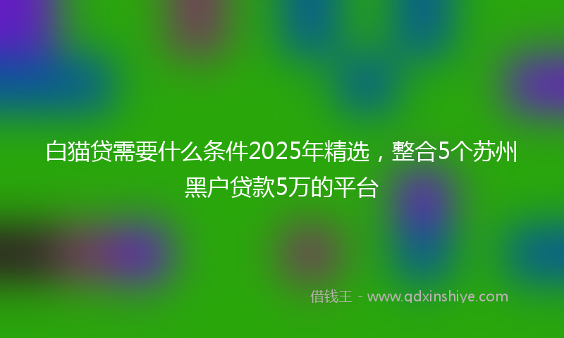 白猫贷需要什么条件2025年精选，整合5个苏州黑户贷款5万的平台