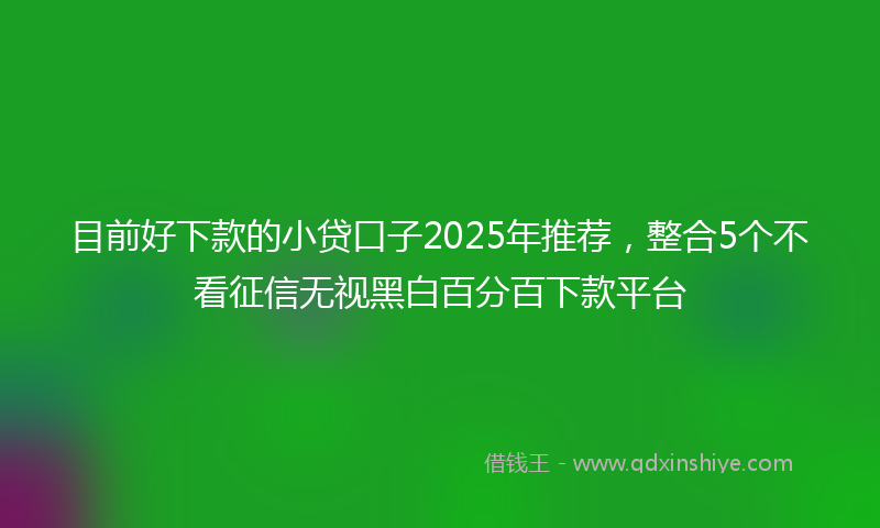 目前好下款的小贷口子2025年推荐，整合5个不看征信无视黑白百分百下款平台
