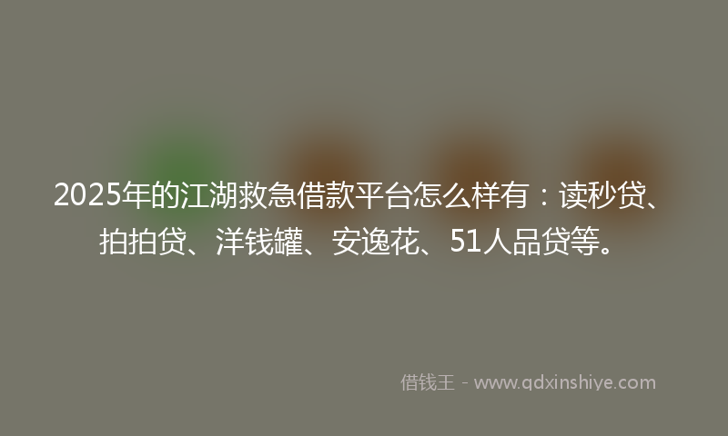 2025年的江湖救急借款平台怎么样有：读秒贷、拍拍贷、洋钱罐、安逸花、51人品贷等。