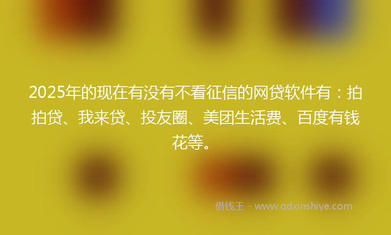 2025年的现在有没有不看征信的网贷软件有：拍拍贷、我来贷、投友圈、美团生活费、百度有钱花等。