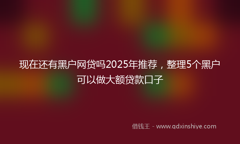 现在还有黑户网贷吗2025年推荐，整理5个黑户可以做大额贷款口子