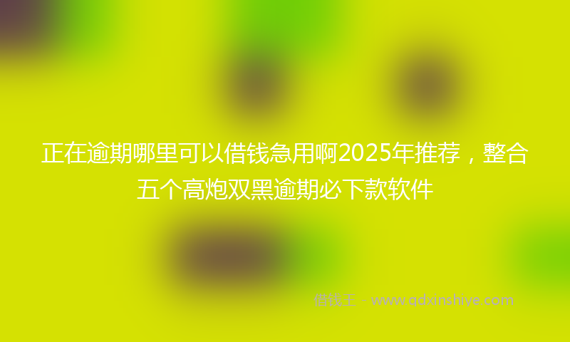 正在逾期哪里可以借钱急用啊2025年推荐，整合五个高炮双黑逾期必下款软件