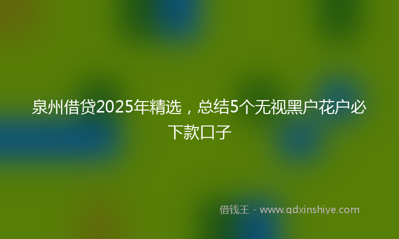 泉州借贷2025年精选，总结5个无视黑户花户必下款口子