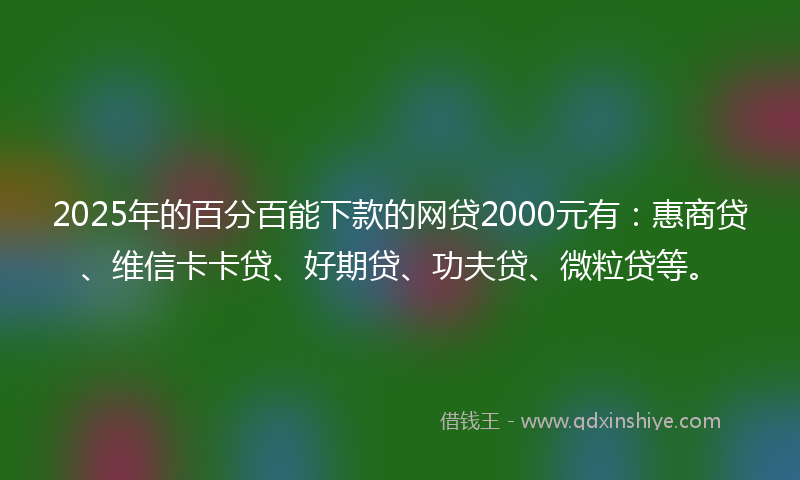 2025年的百分百能下款的网贷2000元有：惠商贷、维信卡卡贷、好期贷、功夫贷、微粒贷等。