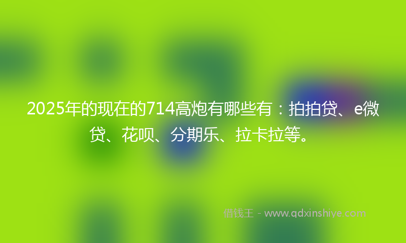2025年的现在的714高炮有哪些有：拍拍贷、e微贷、花呗、分期乐、拉卡拉等。