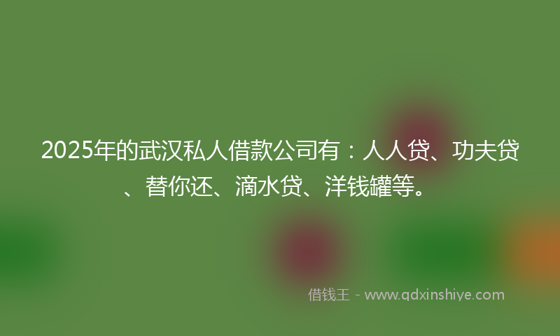 2025年的武汉私人借款公司有：人人贷、功夫贷、替你还、滴水贷、洋钱罐等。