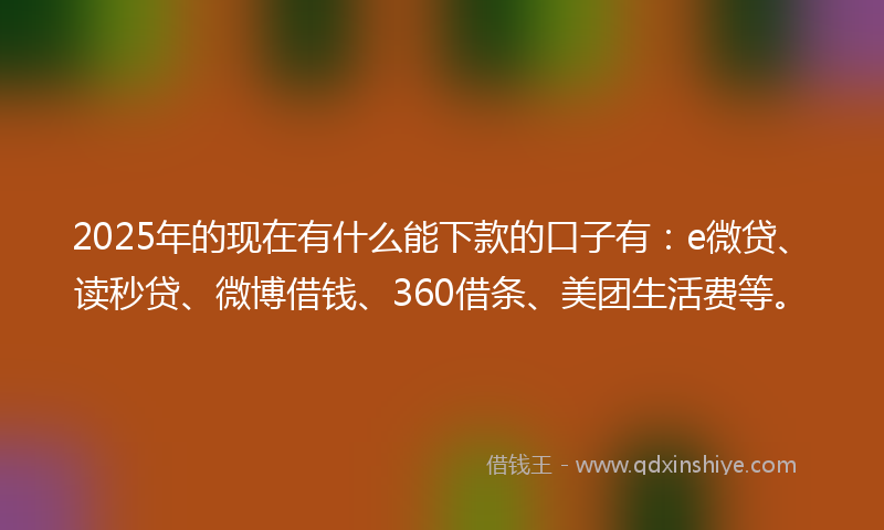 2025年的现在有什么能下款的口子有：e微贷、读秒贷、微博借钱、360借条、美团生活费等。