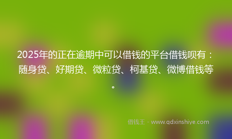 2025年的正在逾期中可以借钱的平台借钱呗有：随身贷、好期贷、微粒贷、柯基贷、微博借钱等。