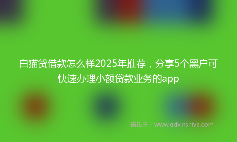 白猫贷借款怎么样2025年推荐，分享5个黑户可快速办理小额贷款业务的app
