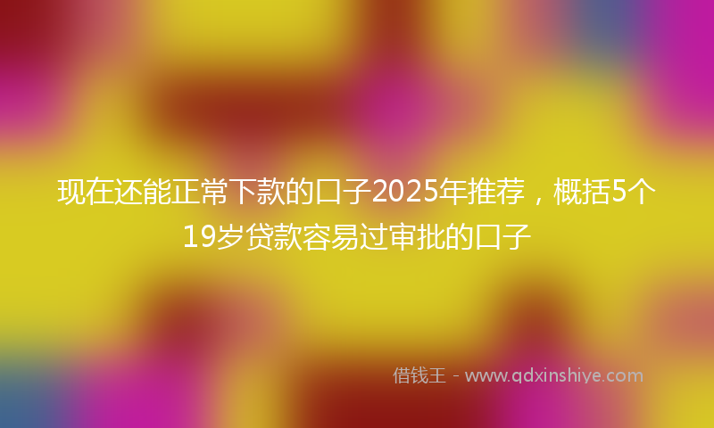 现在还能正常下款的口子2025年推荐,概括5个19岁贷款容易过审批的口子