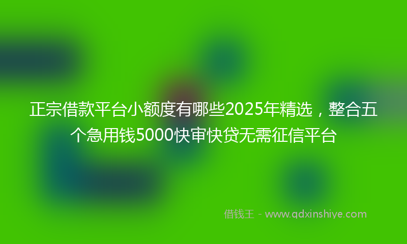 正宗借款平台小额度有哪些2025年精选，整合五个急用钱5000快审快贷无需征信平台