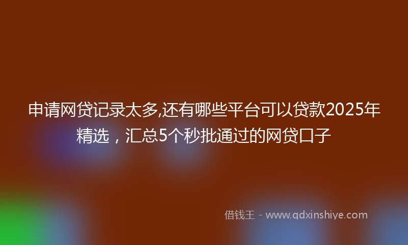 申请网贷记录太多,还有哪些平台可以贷款2025年精选，汇总5个秒批通过的网贷口子