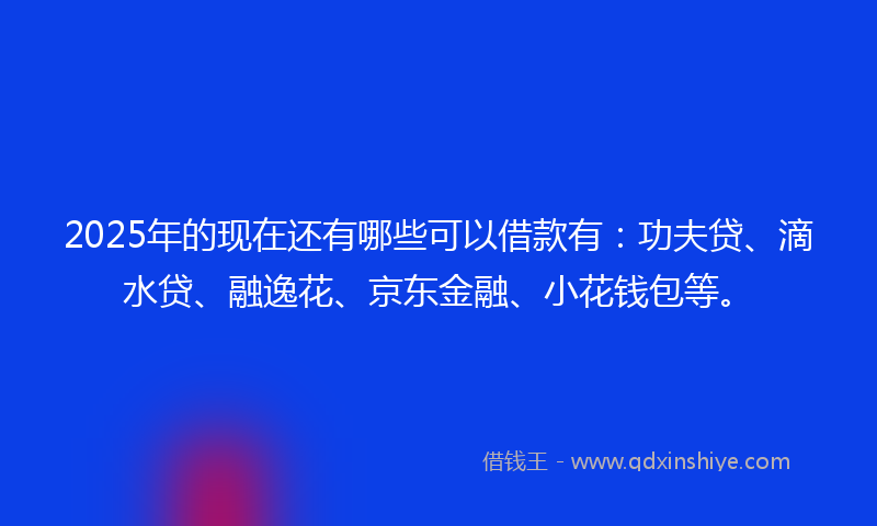 2025年的现在还有哪些可以借款有：功夫贷、滴水贷、融逸花、京东金融、小花钱包等。