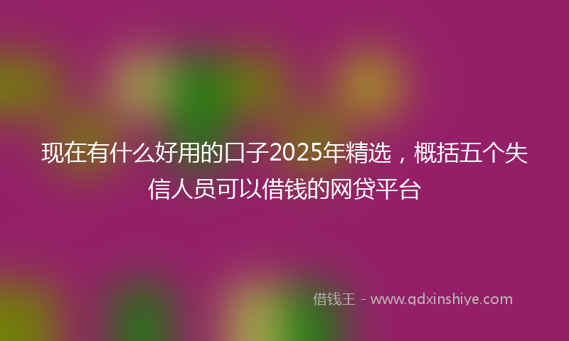 现在有什么好用的口子2025年精选，概括五个失信人员可以借钱的网贷平台