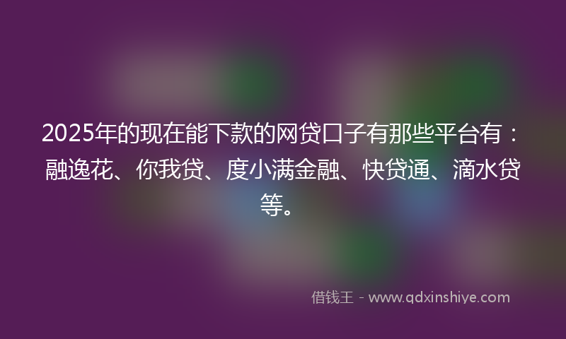 2025年的现在能下款的网贷口子有那些平台有：融逸花、你我贷、度小满金融、快贷通、滴水贷等。