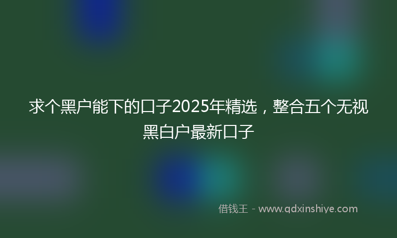 求个黑户能下的口子2025年精选，整合五个无视黑白户最新口子