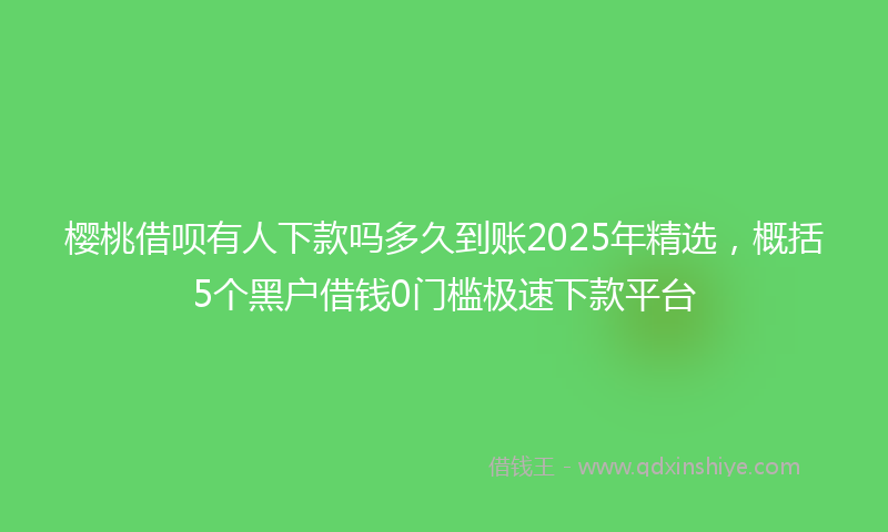 樱桃借呗有人下款吗多久到账2025年精选，概括5个黑户借钱0门槛极速下款平台