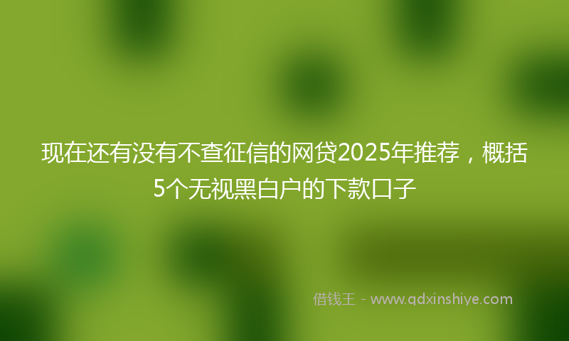 现在还有没有不查征信的网贷2025年推荐，概括5个无视黑白户的下款口子