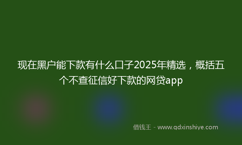 现在黑户能下款有什么口子2025年精选，概括五个不查征信好下款的网贷app