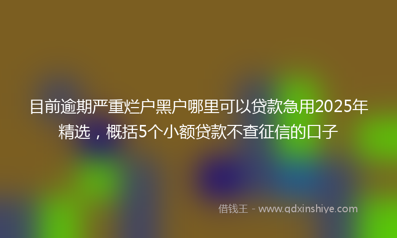 目前逾期严重烂户黑户哪里可以贷款急用2025年精选，概括5个小额贷款不查征信的口子