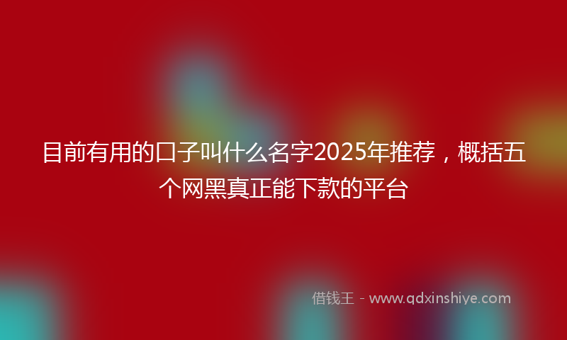目前有用的口子叫什么名字2025年推荐，概括五个网黑真正能下款的平台